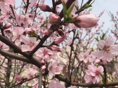 -东南大学(九龙湖校区)
