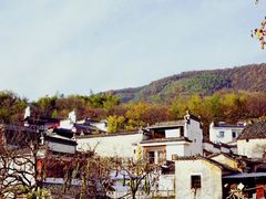 景点-塔川景区