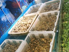 水产区-兆丰海鲜烧烤涮自助(丰南总店)