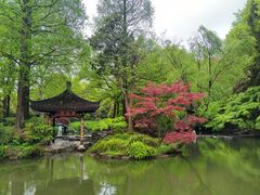 -山外山菜馆(玉泉路店)