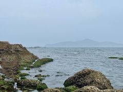 -海源公园