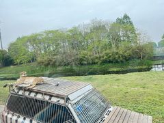 -上海野生动物园