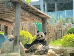 -大连森林动物园