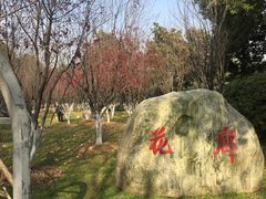 -汉水公园