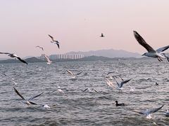 -深圳湾公园(南山区)