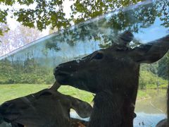 -杭州野生动物世界