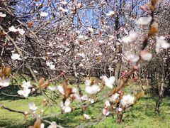 -蜀冈西峰生态公园