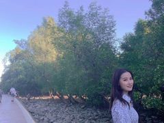 -宝安西湾红树林湿地公园