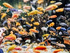 -太平洋海底世界