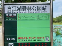 -广州白江湖森林公园