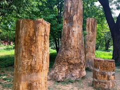 -国家植物园南园