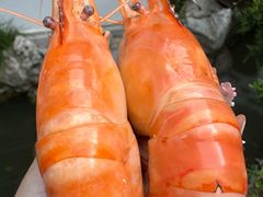 -蟹村草堂·苏式园林人文农家·大闸蟹