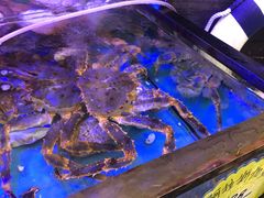 -喜碧海鲜·二十年本土海鲜老字号(上排店)