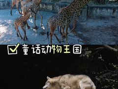 -长鹿旅游休博园