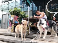 -DECAMERON十日谈(卓悦汇店)