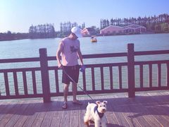 -上海长兴岛郊野公园