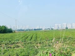 -东戴河风景区-止锚湾