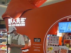 -野人先生现做冰淇淋(北京王府井东方新天地店)