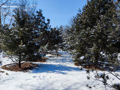 -永定河休闲森林公园