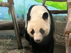 -柳州市动物园