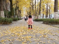 -百林公园-两江幸福广场