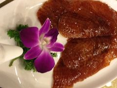 精品烤鸭-鸭王烤鸭店(三里河店)