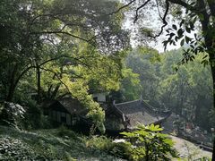 -忠山公园