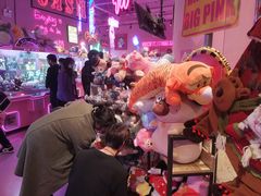 -BIG PINK大粉娃娃机主题馆(圆融星座店)