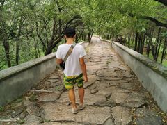 -阳台山自然风景区