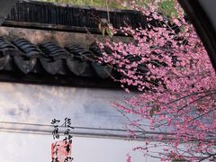 -八大山人梅湖景区