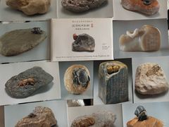 -台北故宫博物院