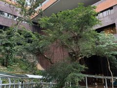 -香港大学