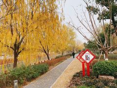 -九科绿洲