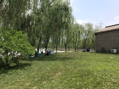 -杨柳青庄园