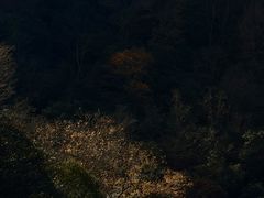 -燕子河大峡谷天坑仙境