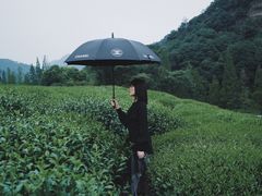 -中国茶叶博物馆(双峰馆区)