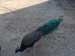 -萌宠亲子动物乐园(槐房万达店)