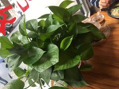-鑫花溪牛肉米粉(凤凰街创始总店)