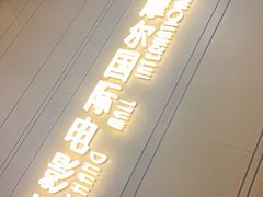 -武商摩尔影城(国广IMAX激光店)