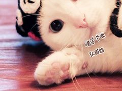 -吕氏疙瘩汤·新派鲁菜(东城万达广场店)