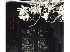 -上海醉白池公园
