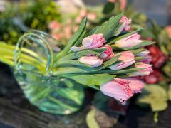 -九月里.自由花园餐厅