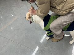 -贝利宠物医院·骨科·眼科·肿瘤转诊中心(南坪诊疗中心)