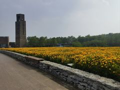-江苏三台山国家森林公园