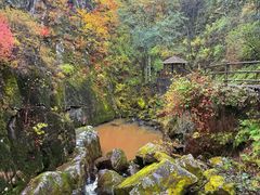 -茅兰沟国家森林公园