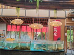 -耕渔小院·湖南鱼鲜(望城店)