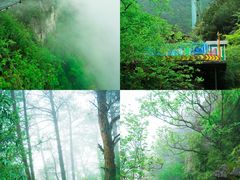 -梦幻奥陶纪景区