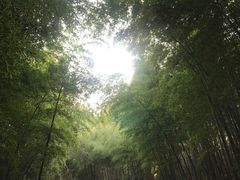 -苏州环秀晓筑养生度假村