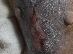 第二天-美联众合宠物医院·爱萌分院·内外科·猫科中心