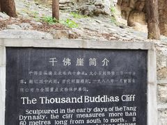 -四门塔风景区